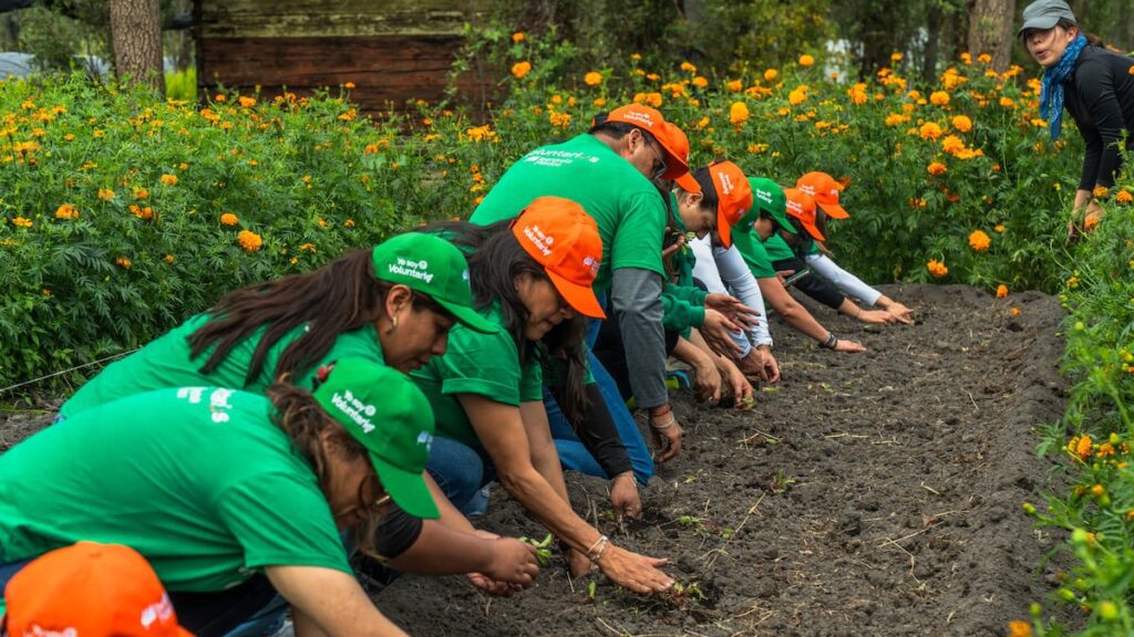 Xochimilco: El Legado del Agua y la Fuerza de la Tierra