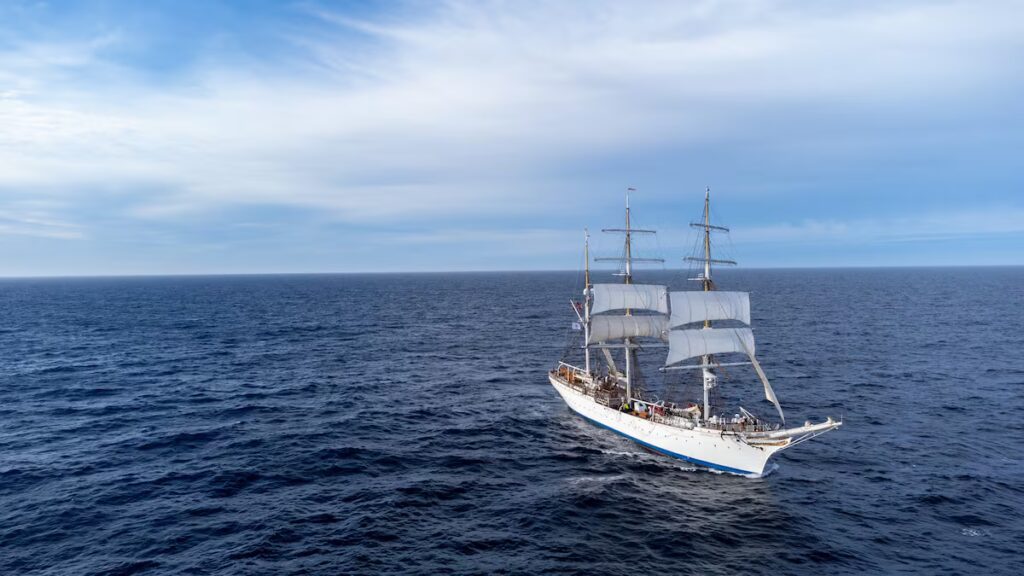 Alianzas Globales: Impulsando la Vitalidad de los Océanos