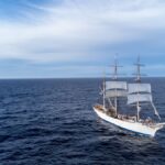 Alianzas Globales: Impulsando la Vitalidad de los Océanos