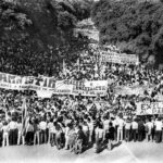 Cóndor: 50 años de historia y sus consecuencias en América Latina