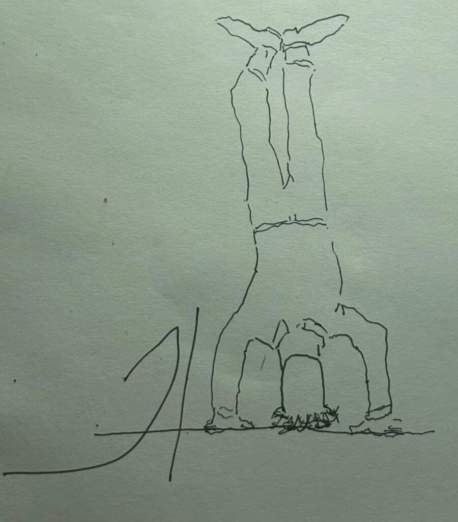 De Cabeza: La Impactante Caída de [Nombre del Protagonista] en [Lugar]