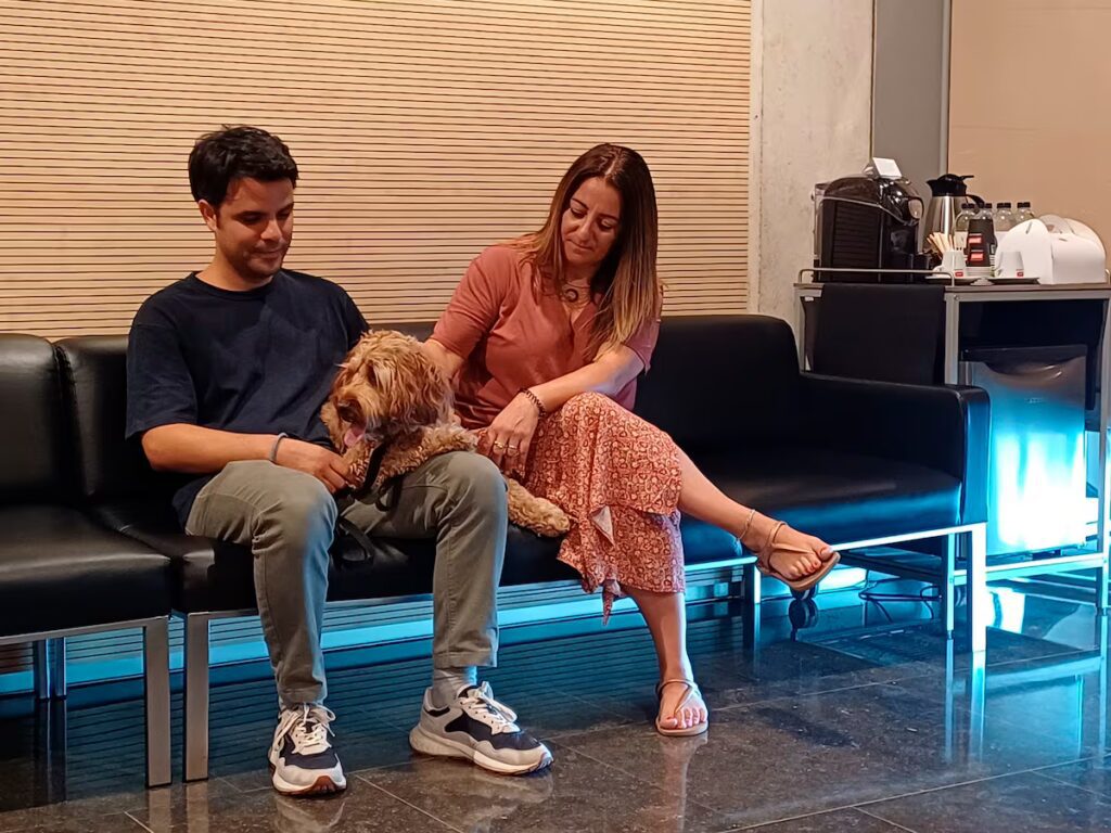 Dulces despedidas: Perros y gatos en el tanatorio de Badalona