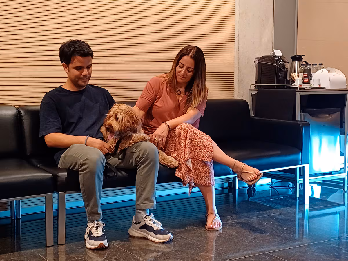 Dulces despedidas: Perros y gatos en el tanatorio de Badalona