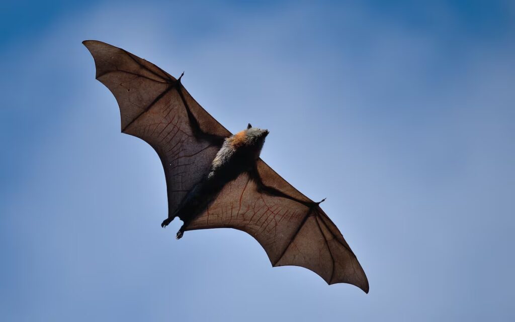 Explorando el Poder del Lenguaje en 'El Juego del Lenguaje'