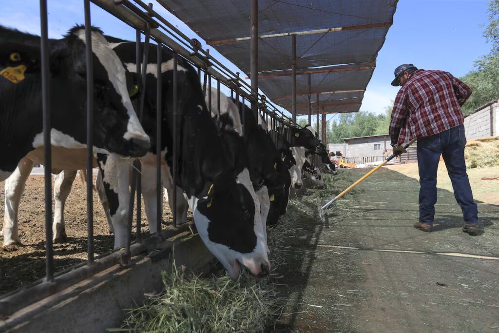 Inflación en México cae al 3.57% en octubre 2023