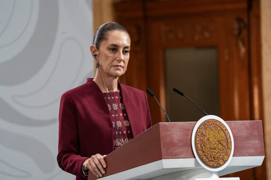 Los buitres: testigos silenciosos de la naturaleza