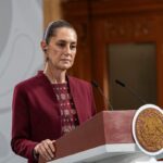 Los buitres: testigos silenciosos de la naturaleza