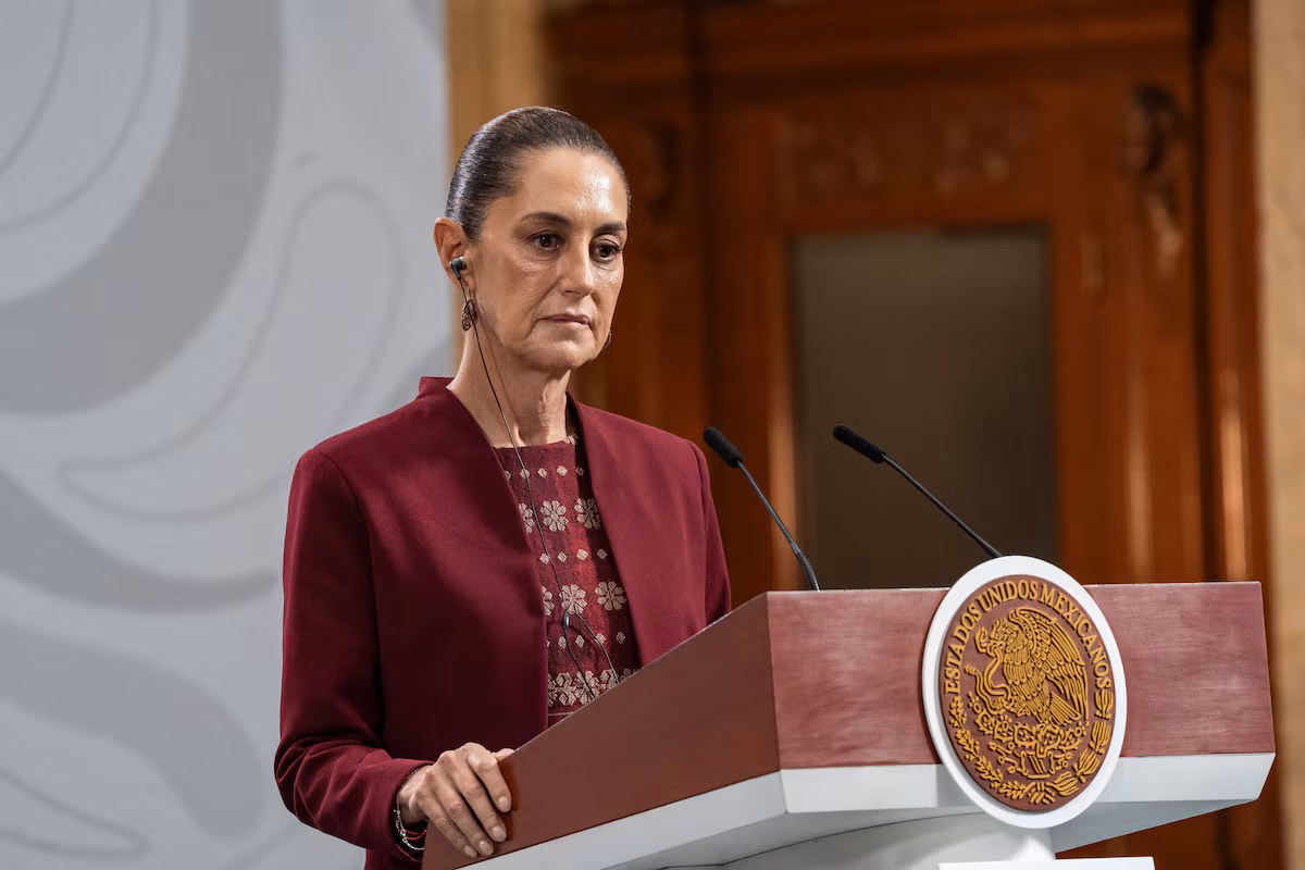 Los buitres: testigos silenciosos de la naturaleza