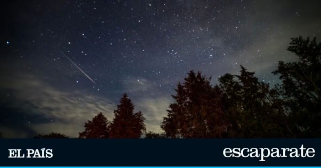 Revolución nocturna: las nuevas gafas 4K de visión nocturna de 4,5 pulgadas