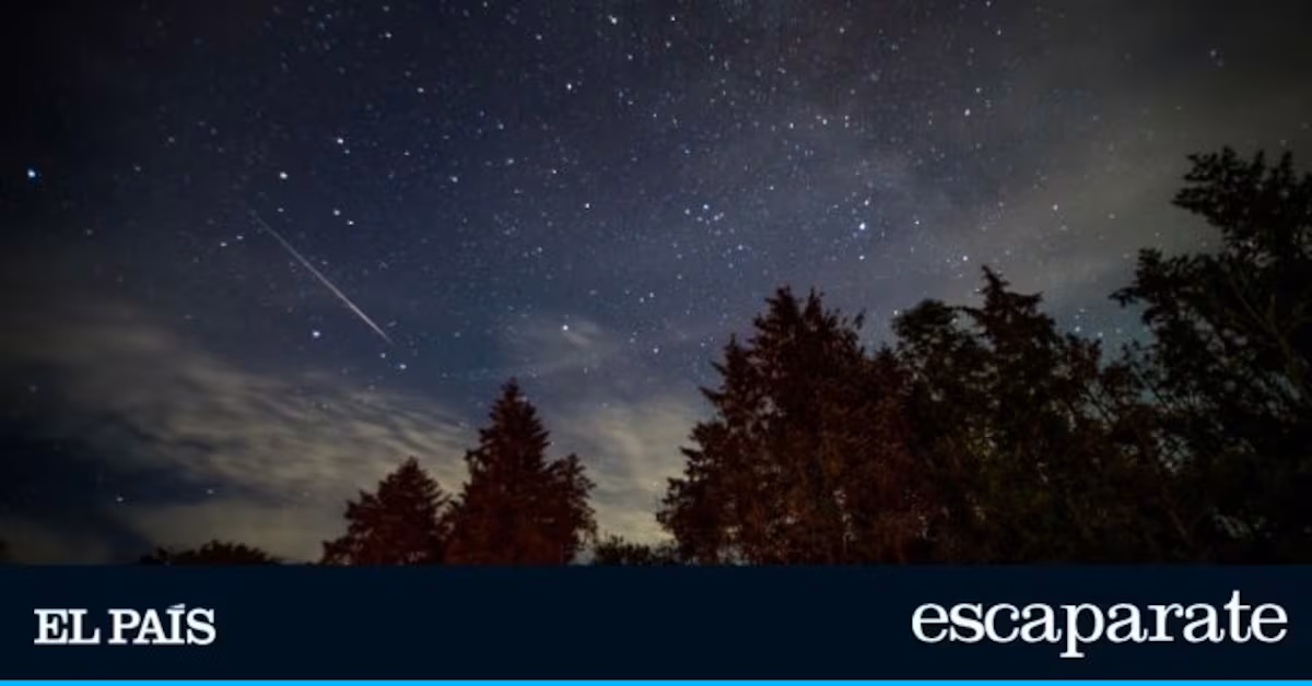 Revolución nocturna: las nuevas gafas 4K de visión nocturna de 4,5 pulgadas