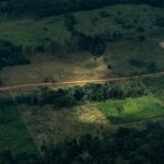 Amazonía en Crisis: Realidad Oculta Detrás de las Cifras