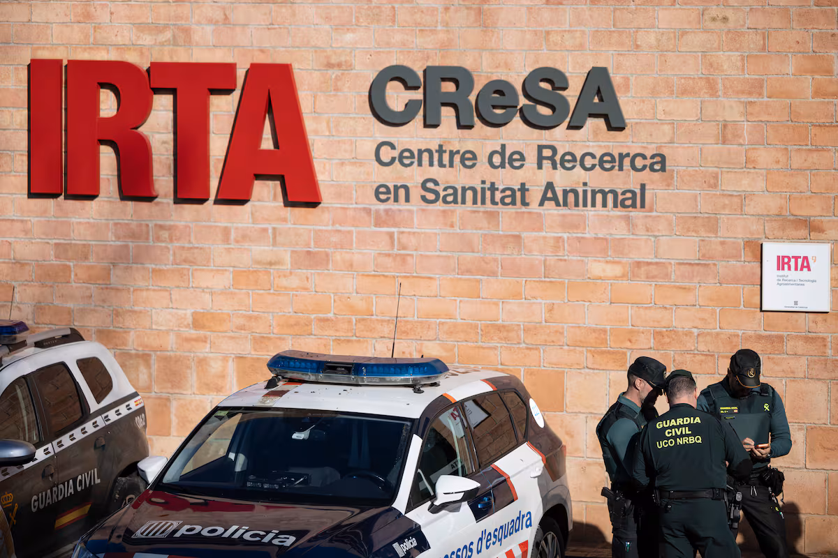 Auditoría del laboratorio por fuga de peste porcina mantiene incertidumbre