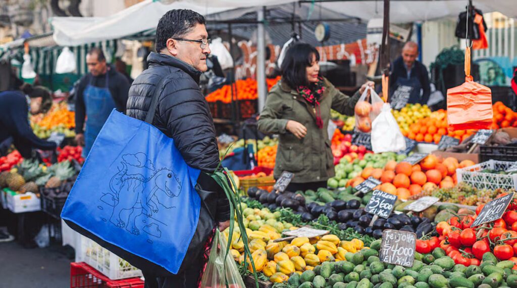 Catastro de Ferias Libres 2025: Revitalizando la Tradición Pública