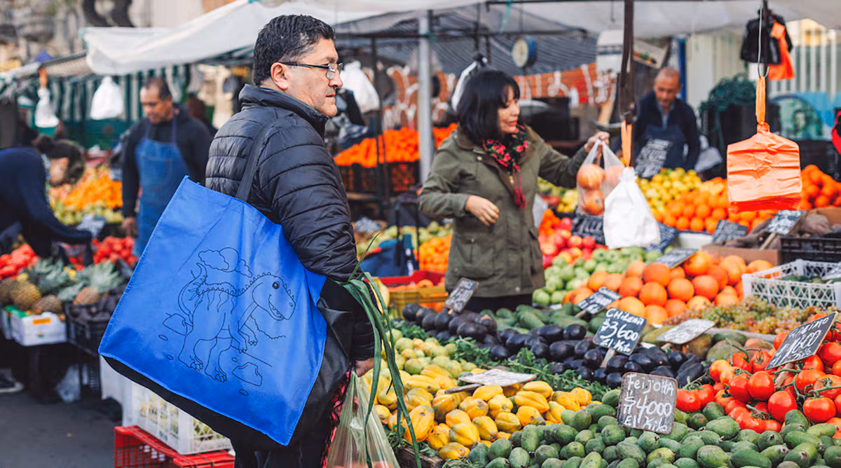 Catastro de Ferias Libres 2025: Revitalizando la Tradición Pública