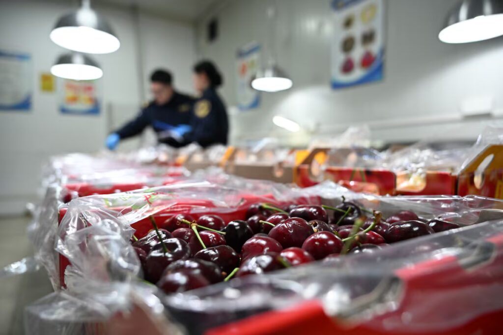 Cerezas: El Sabor Perfecto para Celebrar el Año del Caballo