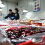 Cerezas: El Sabor Perfecto para Celebrar el Año del Caballo