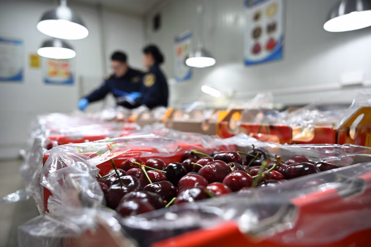 Cerezas: El Sabor Perfecto para Celebrar el Año del Caballo