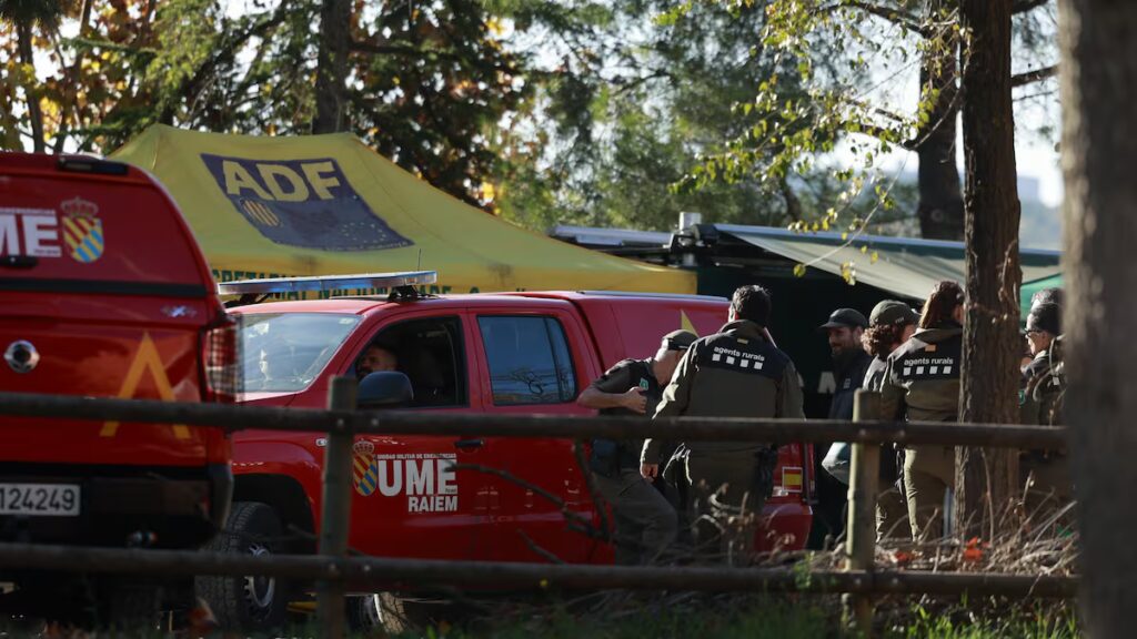 China mantendrá importaciones de cerdo español a pesar del brote, confirma el Gobierno.