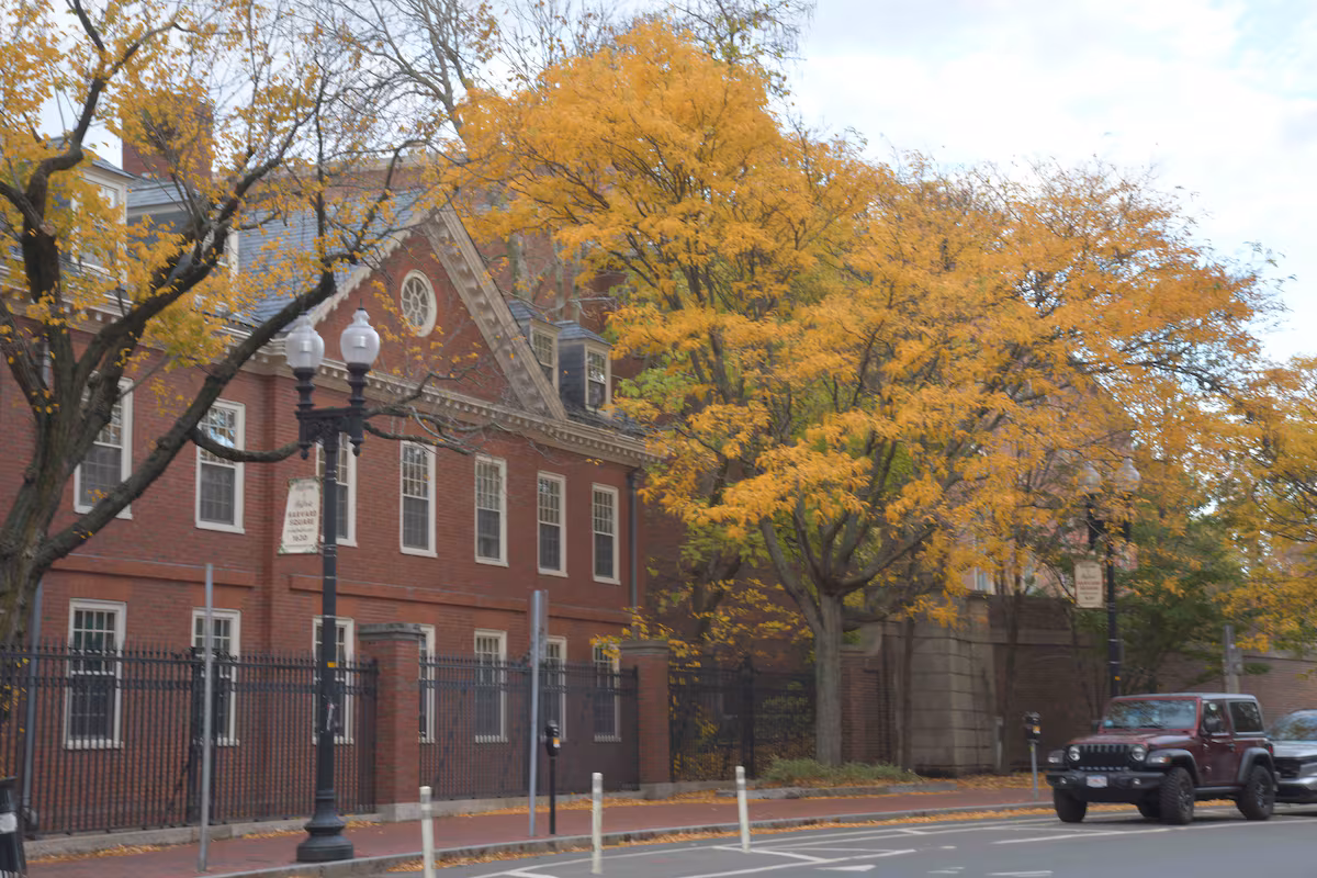 Condenan al encargado de la morgue de Harvard por venta de restos humanos
