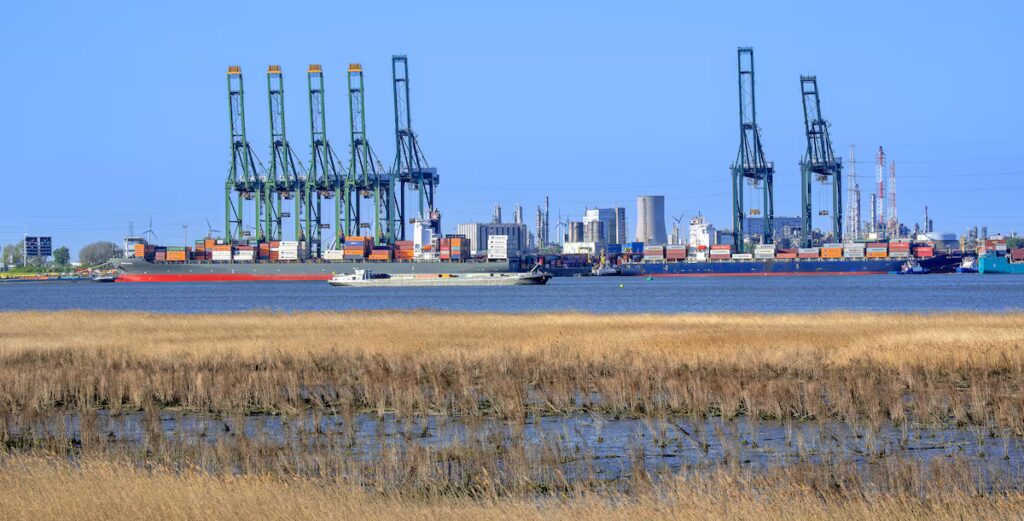 Crecimiento alarmante del tráfico de cocaína en Europa