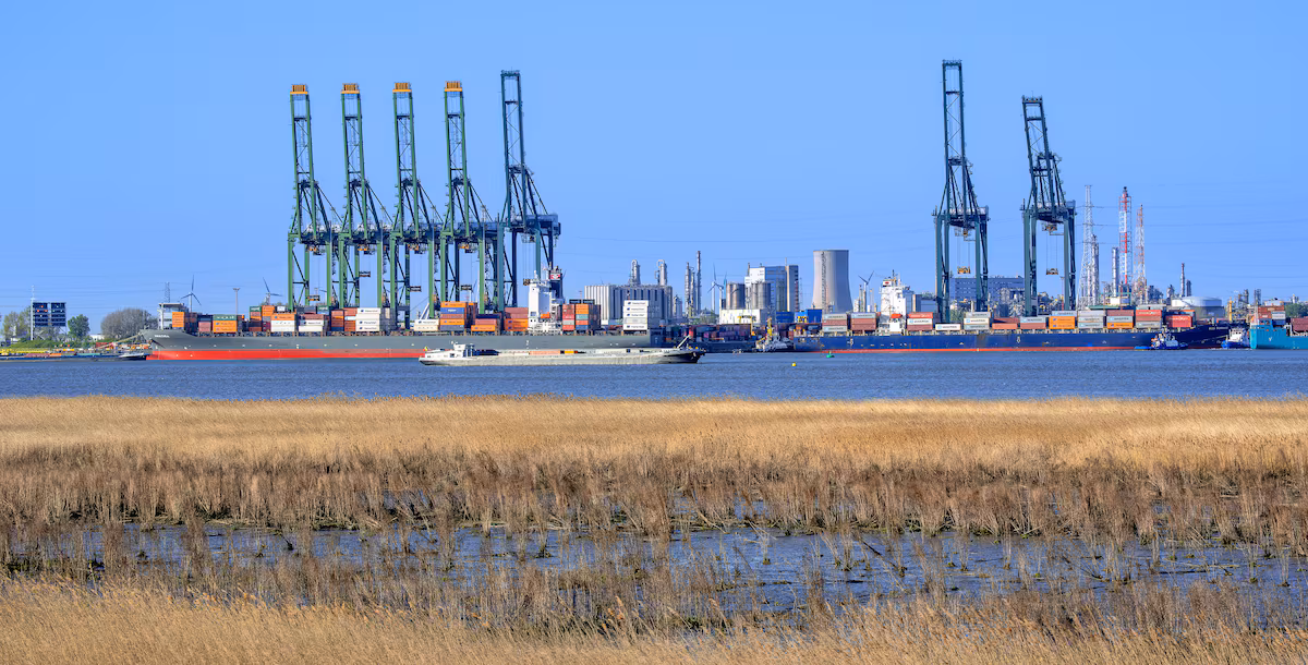 Crecimiento alarmante del tráfico de cocaína en Europa