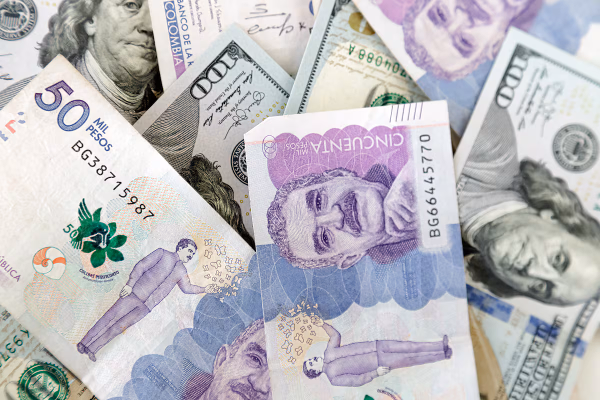 Descubre el auge del pequeñismo en Colombia: una tendencia en crecimiento