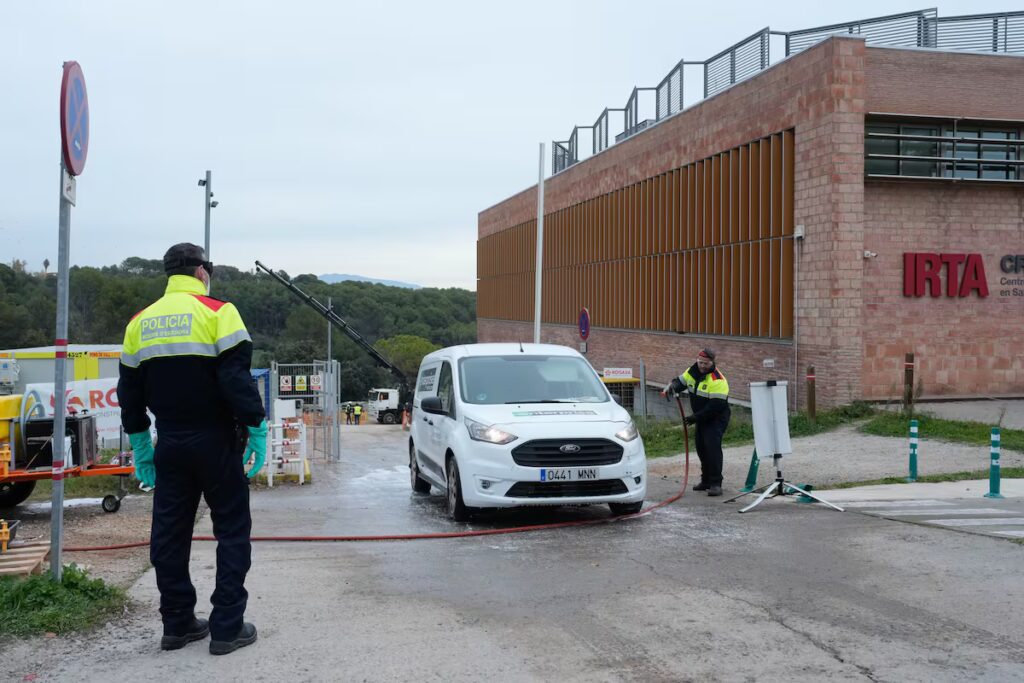 Laboratorio en obras relacionado con fuga de peste porcina africana