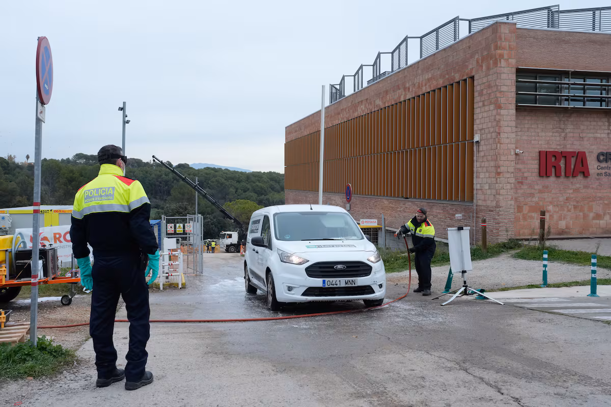 Laboratorio en obras relacionado con fuga de peste porcina africana