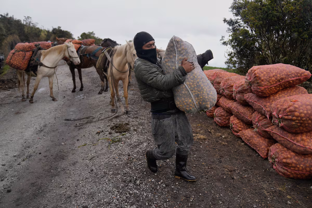 Vida y desafíos de la comunidad indígena junto al volcán Puracé