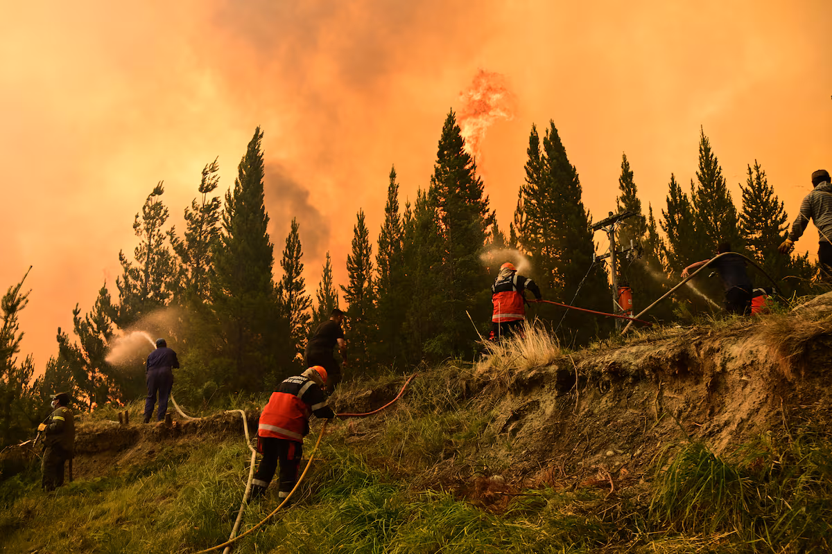 Urgente: Gobernadores piden a Milei debate sobre emergencia por incendios en Patagonia