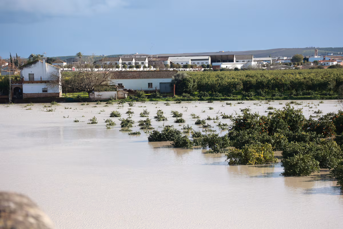 Desalojo de 11,000 personas en Andalucía por la borrasca 'Marta'