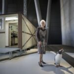 Fallece Josefina Castellví, pionera de la investigación en la Antártida, a los 90 años