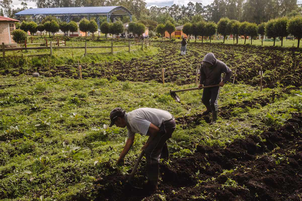 Reforma de Tenencia de Tierra: Clave para Detener la Degradación del Suelo