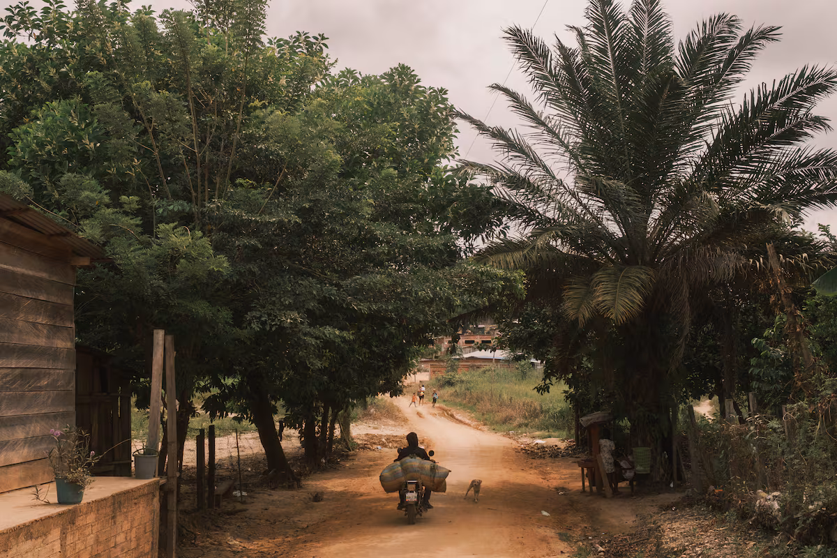 Catatumbo: la lucha y el conflicto en el corazón de Colombia