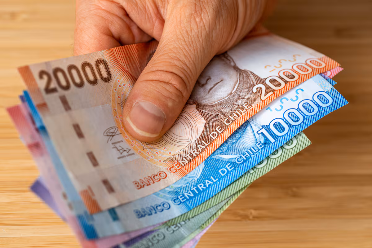 Bono Invierno 2026 en Chile: Beneficiarios y Fechas de Entrega