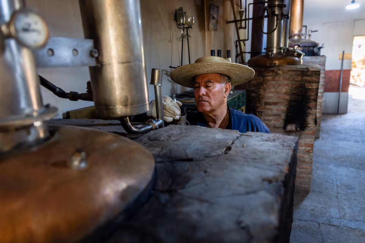 Descubre la Cuna del Pisco Chileno en el Valle del Elqui y Huasco