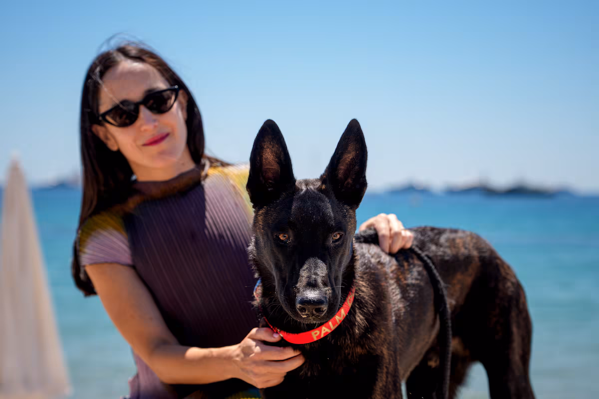 Yuri, la perra chilena rescatada, conquista Cannes con su historia